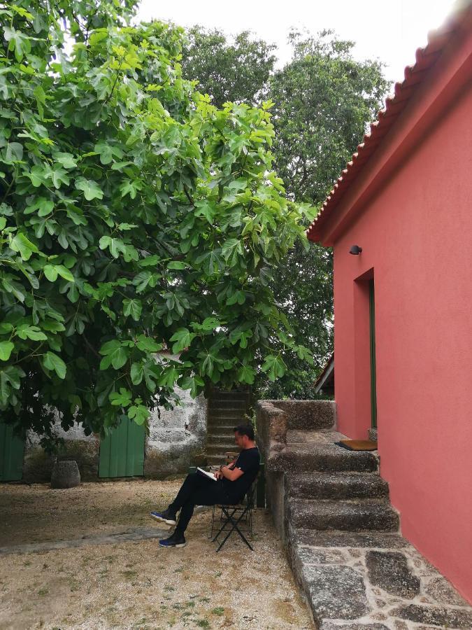 Вилла Quinta Do Santinho Амаранте Экстерьер фото