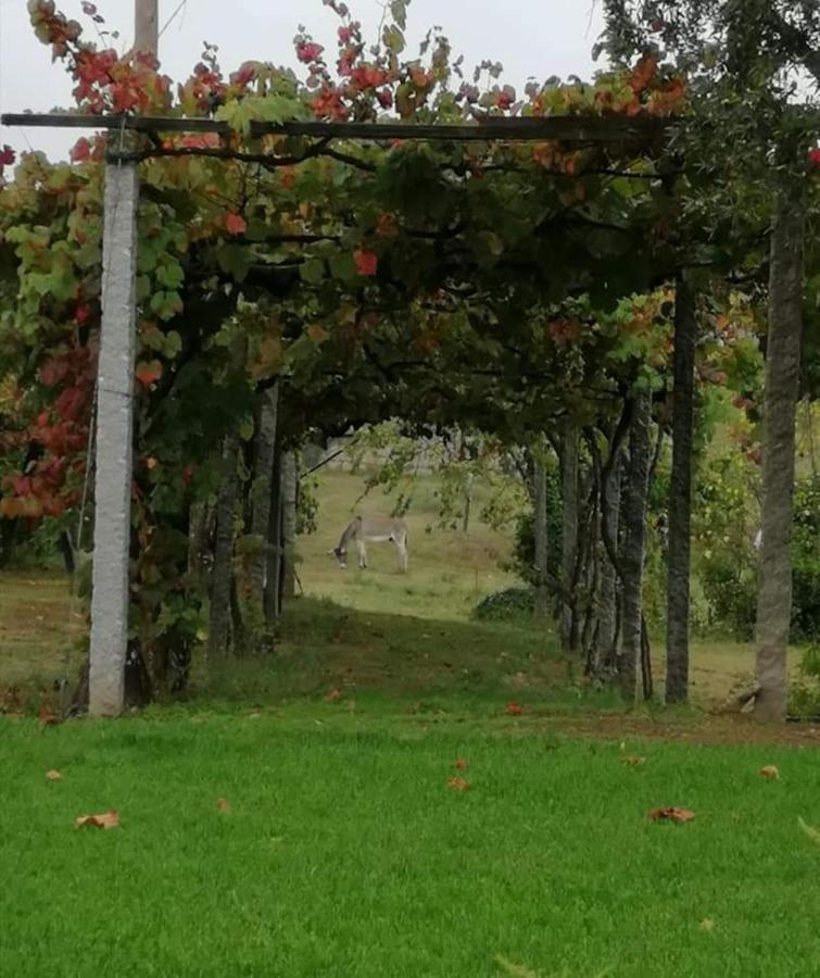 Вилла Quinta Do Santinho Амаранте Экстерьер фото